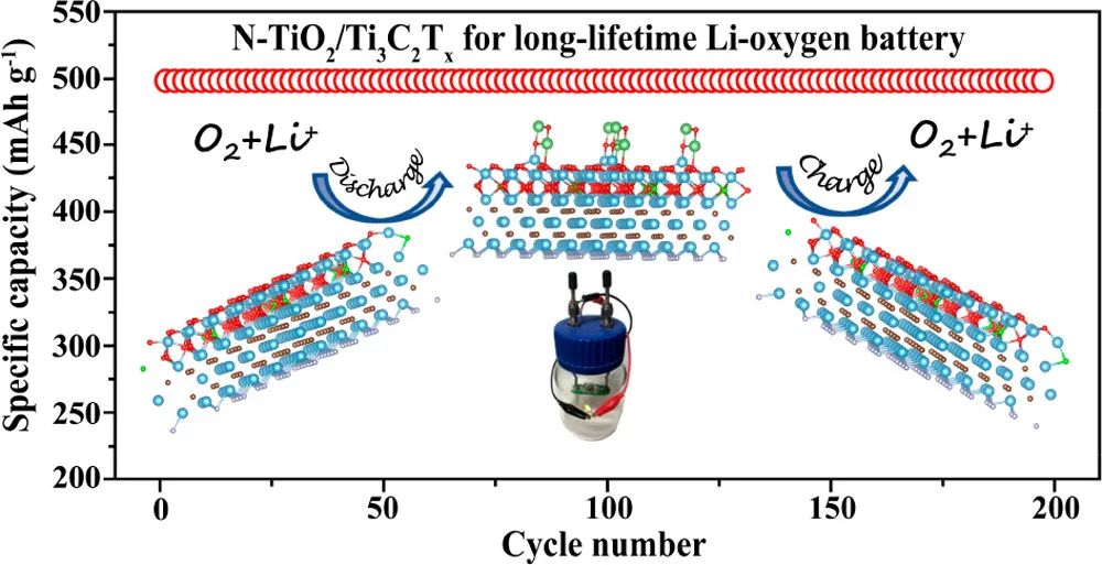 北師大孫根班/李會峰ACS Nano: 用于鋰氧電池的MXene基異質(zhì)結(jié)電催化劑