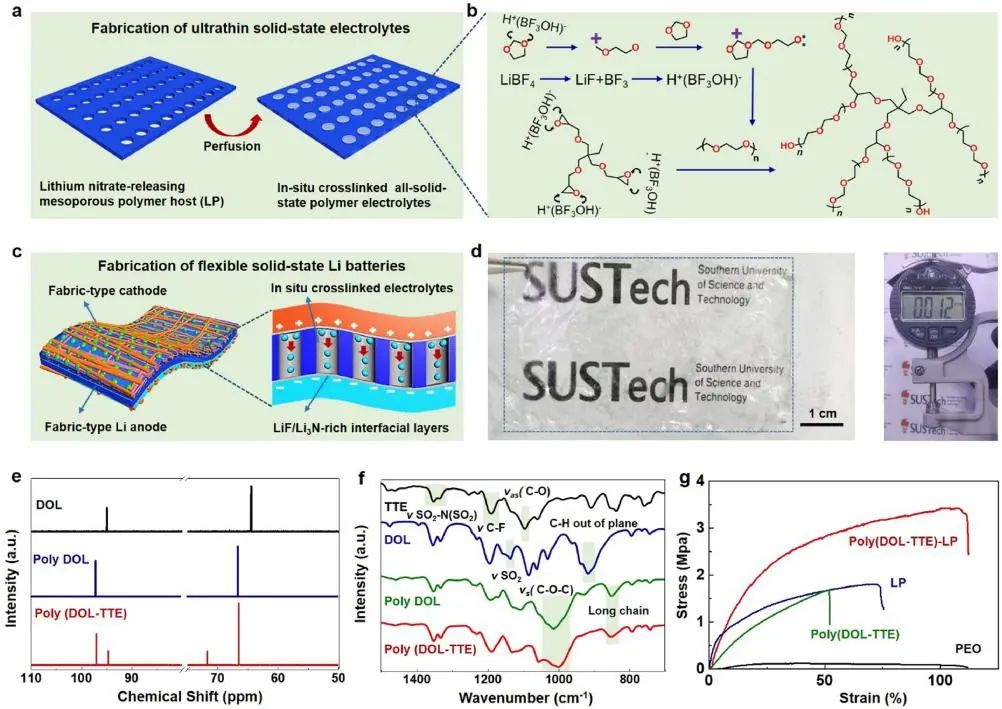 鄧永紅/常建EnSM: 用于柔性全固態(tài)鋰電池的超薄交聯(lián)網(wǎng)絡(luò)聚合物電解質(zhì)的集成設(shè)計(jì)