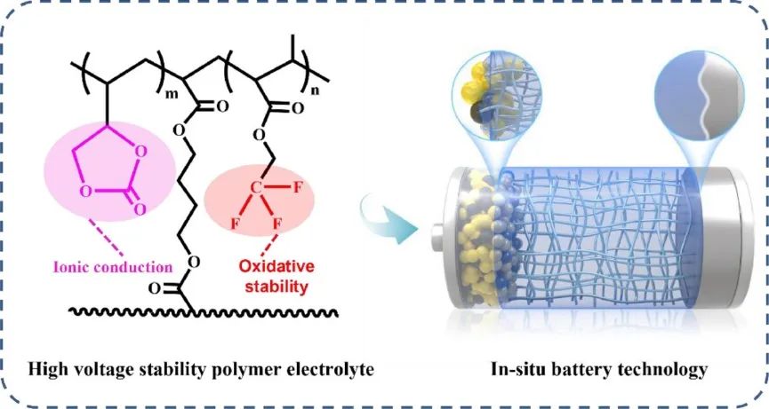 天大封偉/李瑀EnSM：原位形成氟化聚碳酸酯共聚物固態(tài)電解質(zhì)