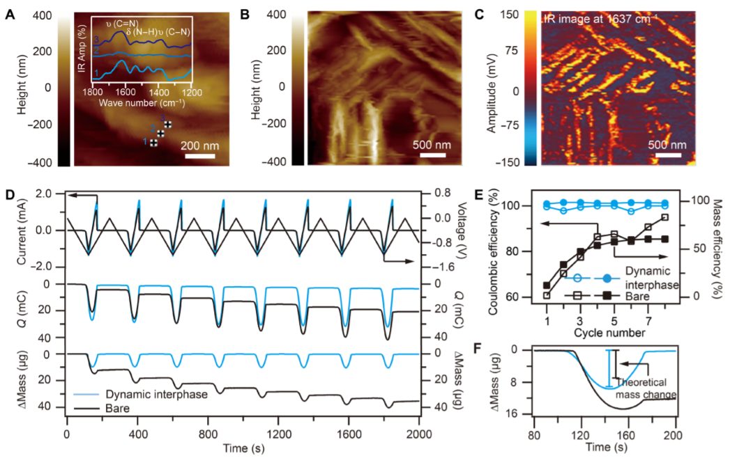 浙大陸盈盈Science Advances：動態(tài)界面介導(dǎo)金屬沉積，助力深度循環(huán)金屬電池