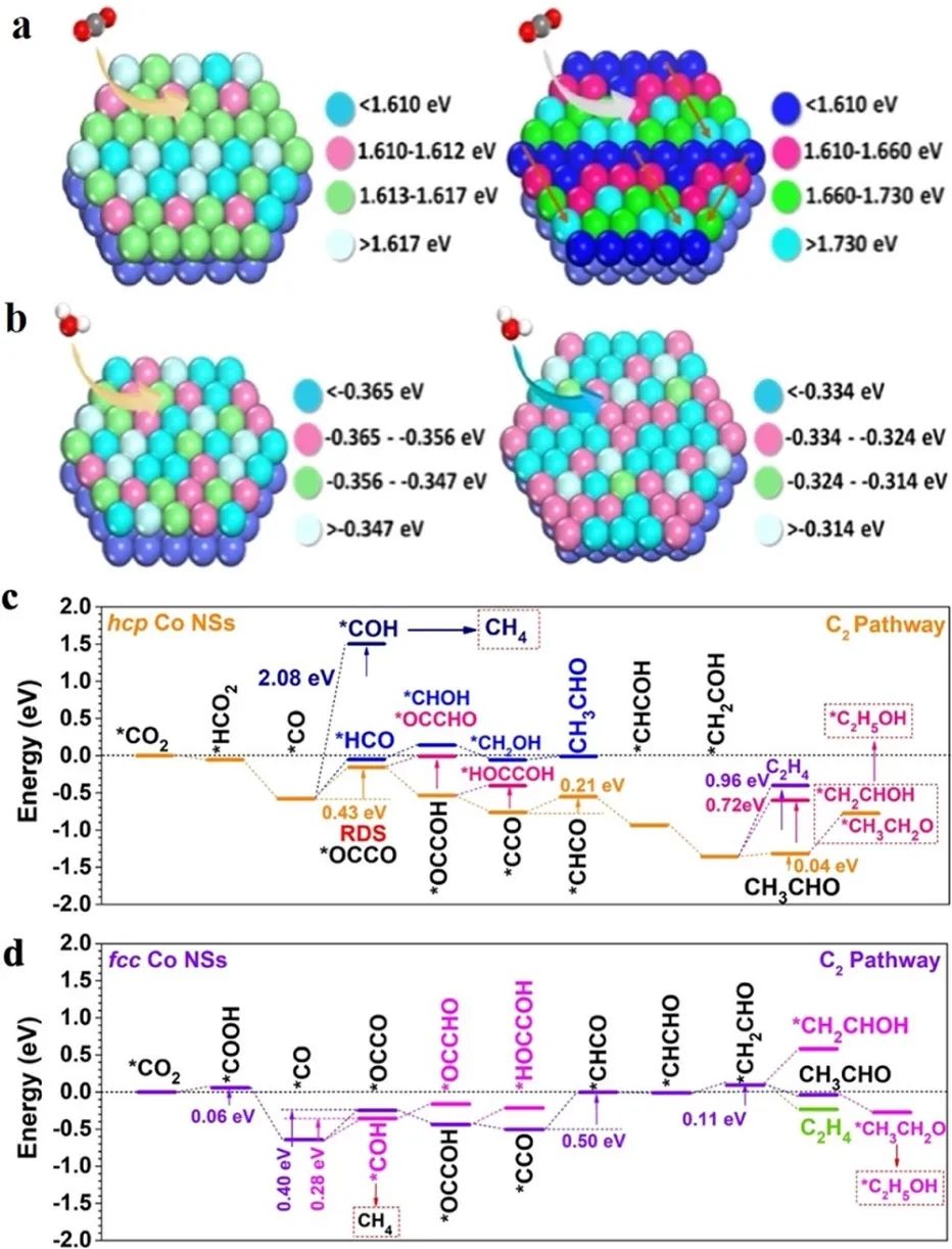 JACS：六方Co納米片高選擇性催化CO2轉化為乙醛