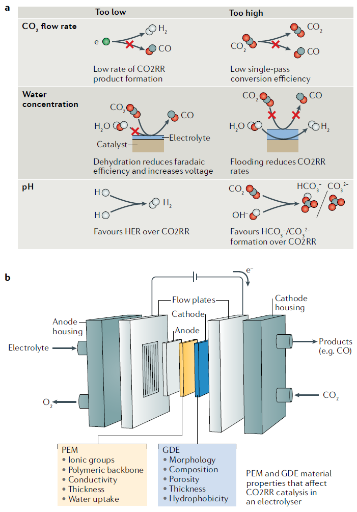 IF超過66，Nature Reviews Materials最新綜述：高效CO2RR電解槽該如何設(shè)計？