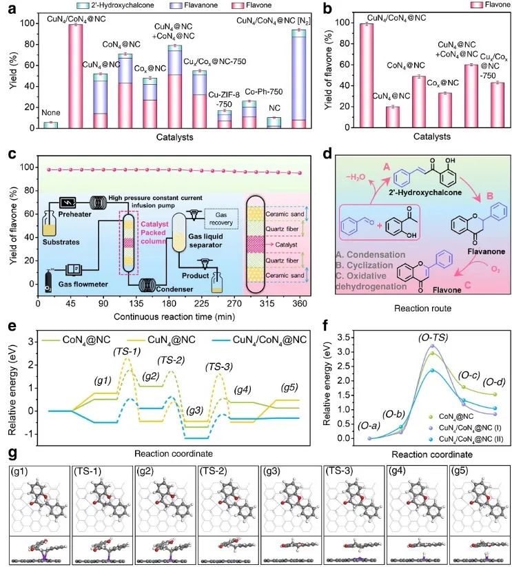 李映偉&房瑞琪，最新Nature子刊！