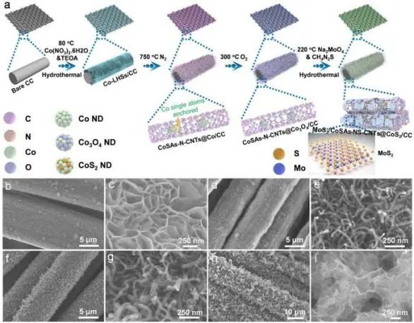 南開/內(nèi)大Appl. Catal. B.: 二硫化鉬/單鈷原子的雜化異質(zhì)結(jié)錨定氮、硫摻雜碳納米管/二硫化鈷用于高效析氫