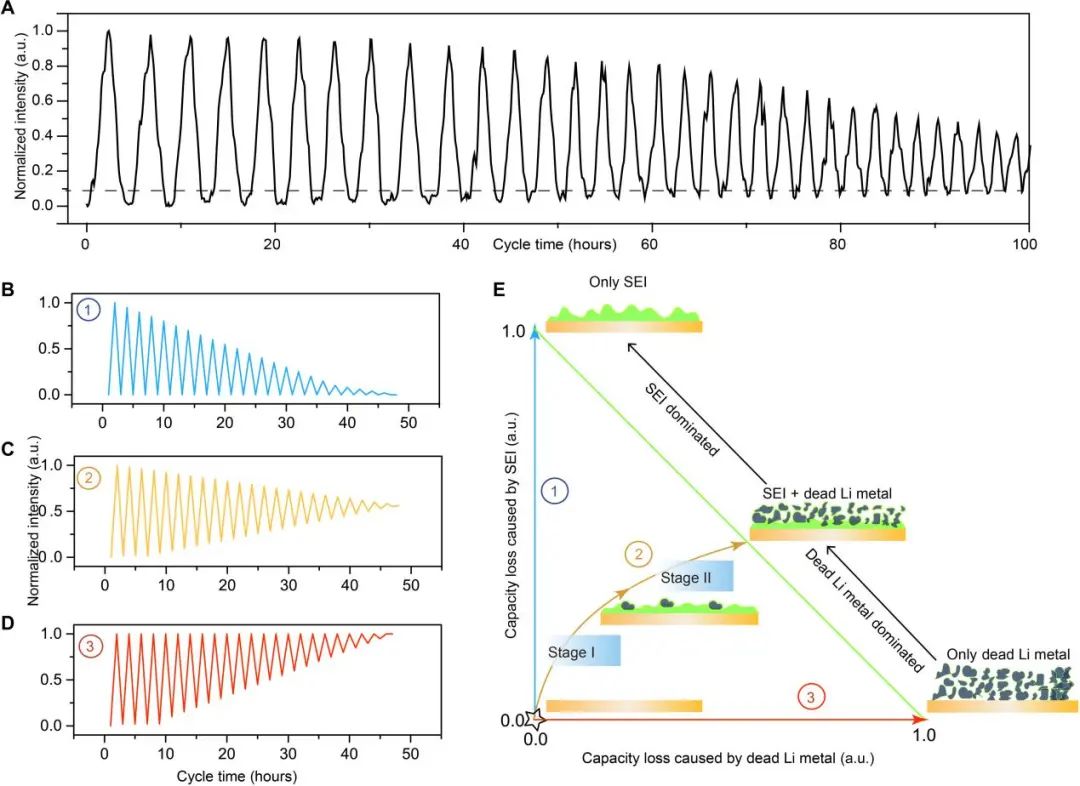 廈大楊勇Sci. Adv.: 可充電鋰金屬電池失效過(guò)程的定量分析