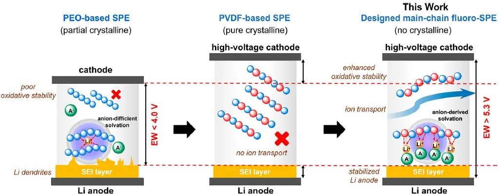 林欣蓉/陳茂ACS Energy Lett.：主鏈氟化固態(tài)聚合物電解質(zhì)同時穩(wěn)定鋰負極和高壓正極