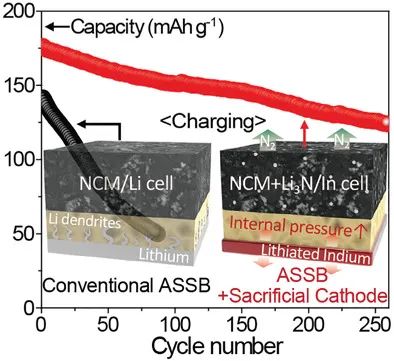 韓國電子技術(shù)研究所AFM: 犧牲正極實(shí)現(xiàn)無鋰銦層全固態(tài)電池的穩(wěn)定循環(huán)