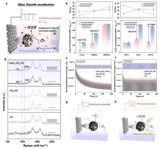 催化頂刊集錦：Nature子刊、JACS、ACS Nano、ACS Energy Lett.、AFM、NML等成果