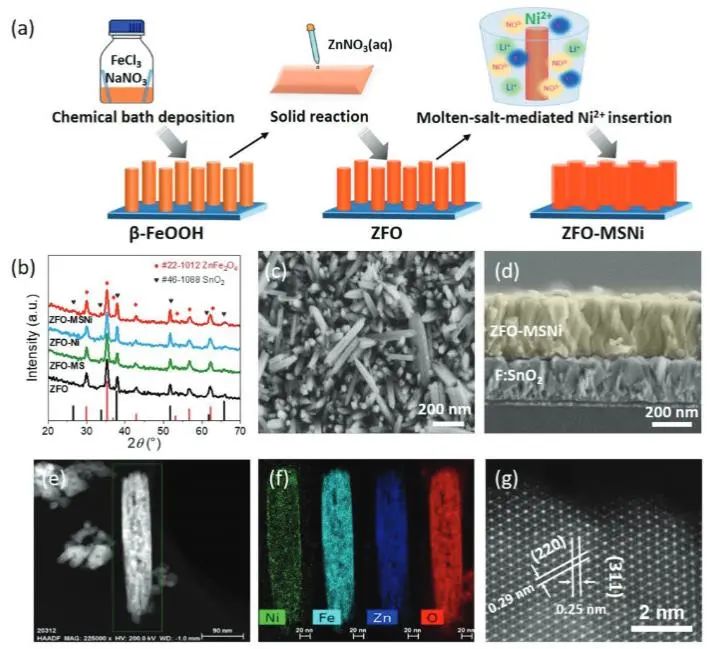 催化頂刊集錦：JACS、Nature子刊、Adv. Sci.、Nano Energy、ACS Nano等