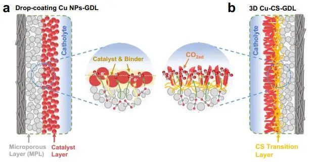 韓布興/朱慶宮Nature子刊：構(gòu)建三維Cu-殼聚糖-氣體擴(kuò)散層電極，實(shí)現(xiàn)高效CO2電解制C2+醇