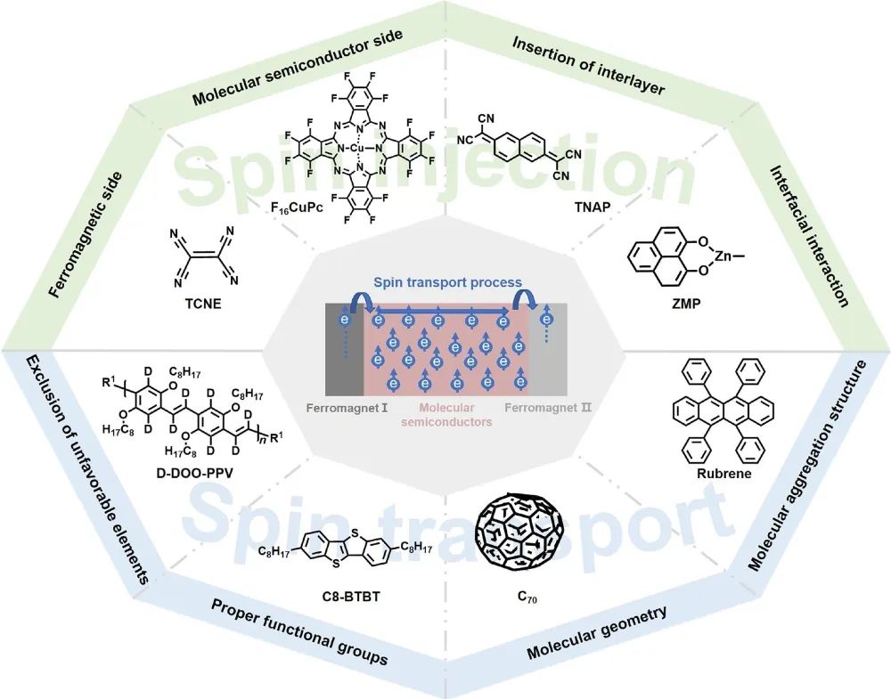 孫向南課題組:高效自旋輸運(yùn)分子半導(dǎo)體材料的設(shè)計(jì)