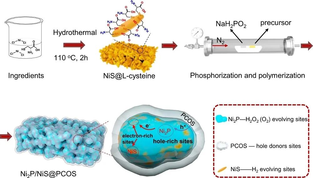 楊貴東Nature子刊：Ni2P/NiS@PCOS實(shí)現(xiàn)高效光催化整體水分解