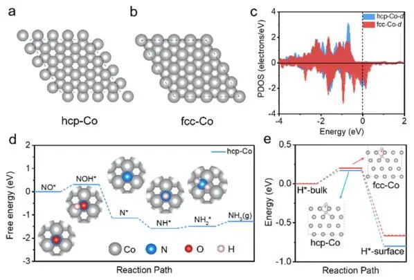 王雙印/陳晨等JACS?：hcp-Co高效電催化NO還原制NH3