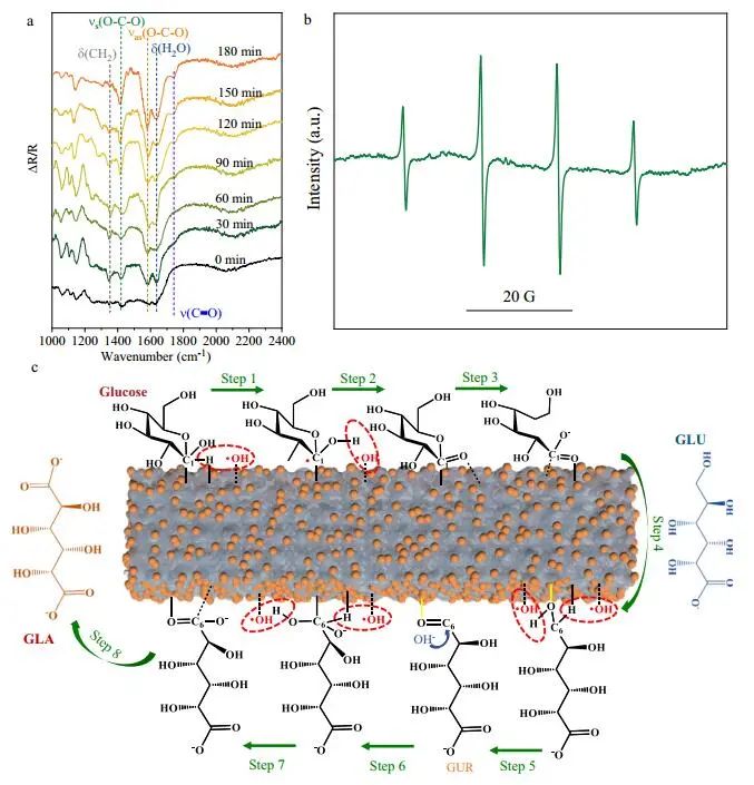 Nature子刊：Pt/Def-TiO2光電化學(xué)氧化葡萄糖制備葡萄糖酸