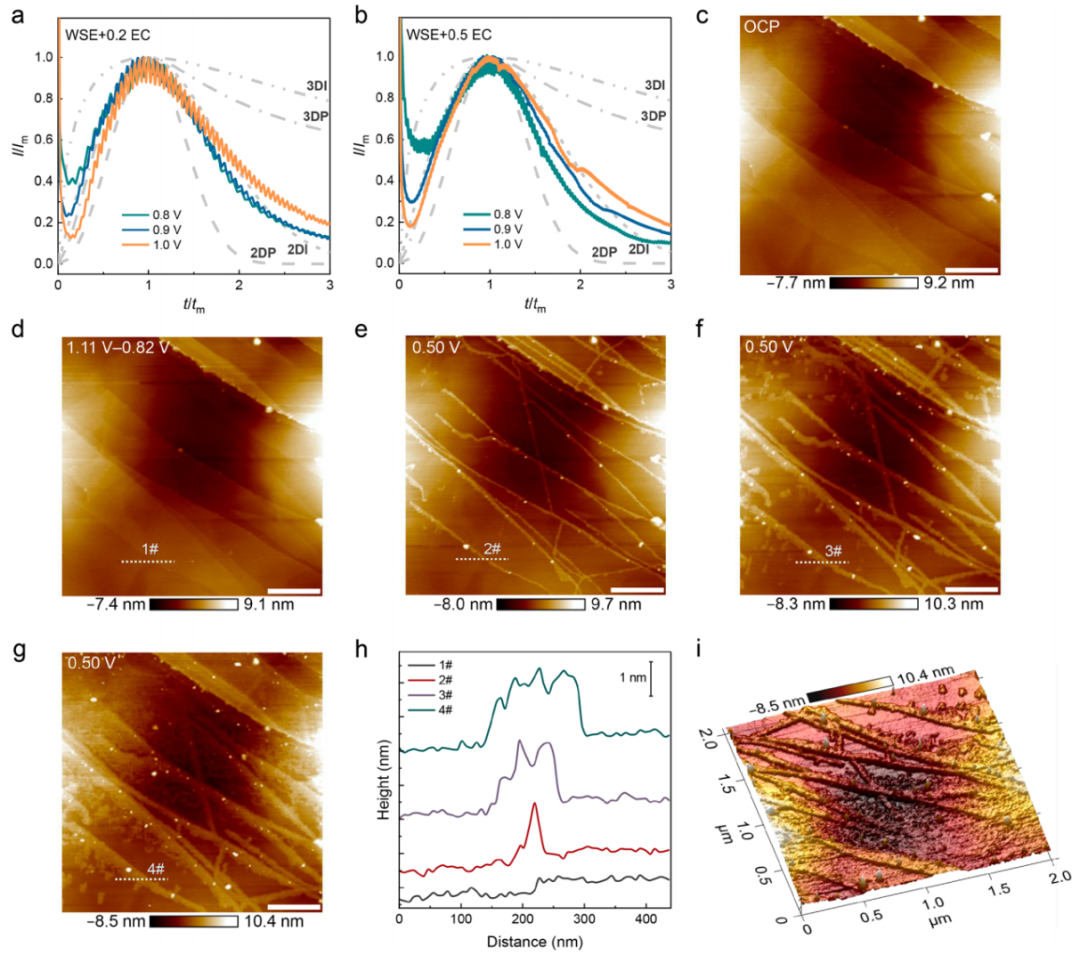 張強(qiáng)教授，最新JACS！