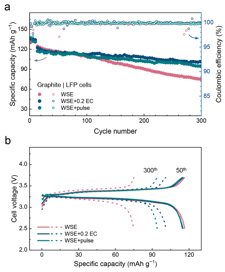 張強(qiáng)教授，最新JACS！