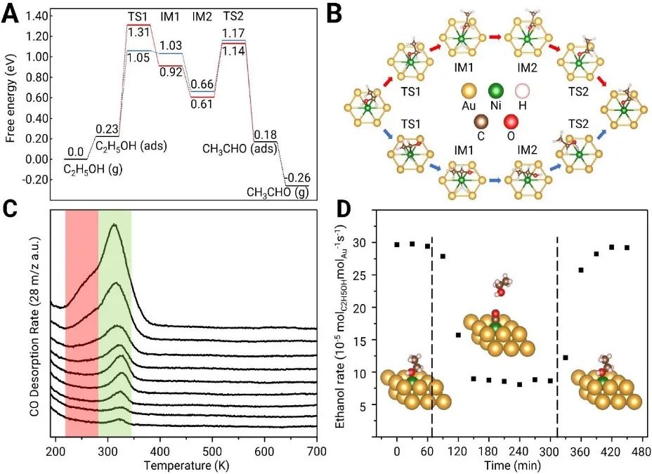 JACS：研究NiAu單原子合金催化乙醇脫氫的機(jī)理和電子學(xué)