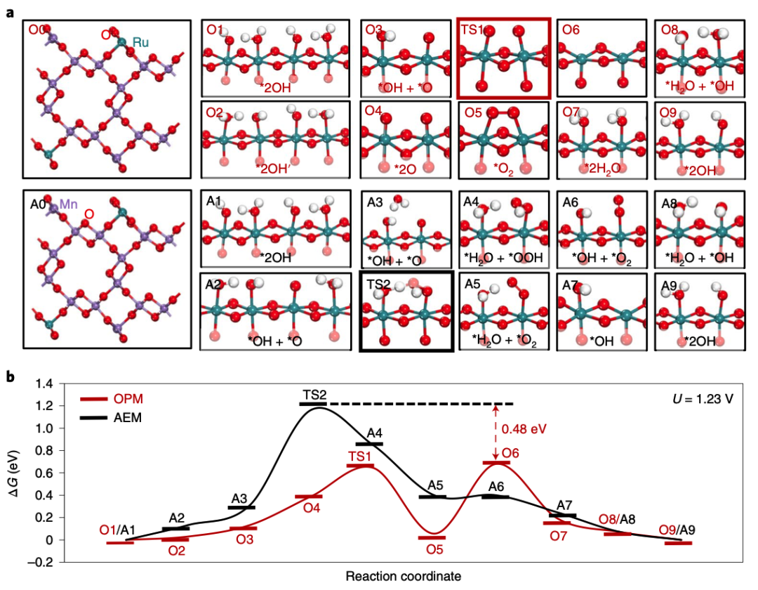 李小鵬/劉智攀/姜政等Nature Catalysis：酸性電解水催化劑突破！