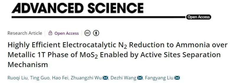 中南劉芳洋、王德志、吳壯志Adv. Sci.：角度新奇，活性位點(diǎn)分離策略闡明1T-MoS2上NRR機(jī)制