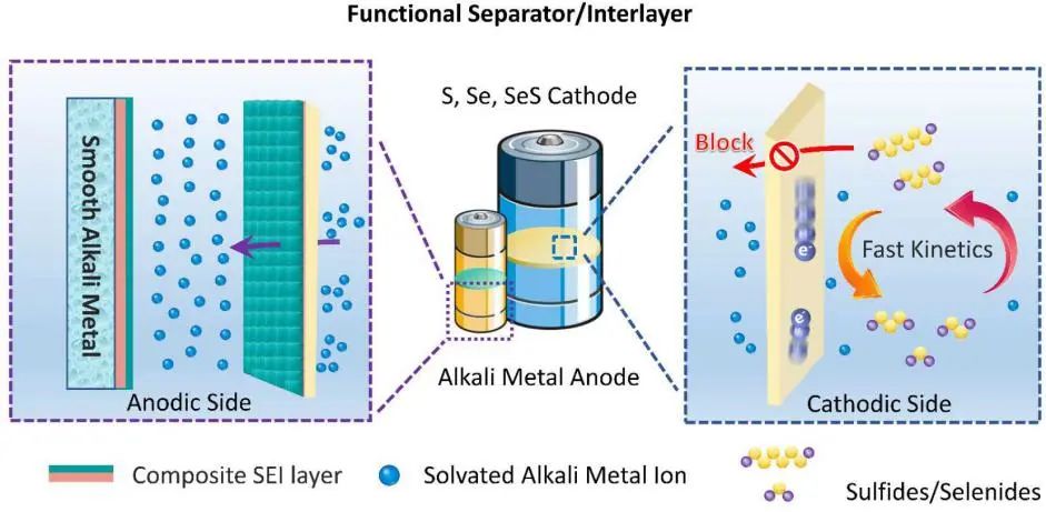 引文552篇！一文看盡用于穩(wěn)定堿金屬-硫/硒電池電極的多功能隔膜！
