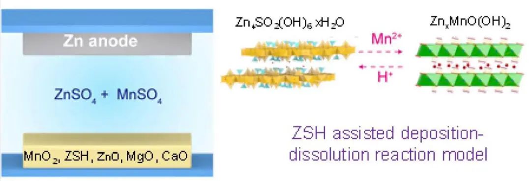 包淑娟/徐茂文/范紅金AM: 重新認(rèn)識鋅錳電池在硫酸鹽電解液中的反應(yīng)機(jī)理