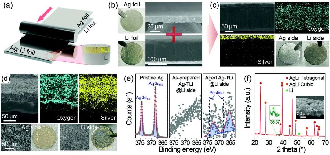 Adv. Sci.：原位形成Ag-Li金屬間化合物層使全固態(tài)鋰電池穩(wěn)定循環(huán)