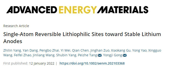 宮勇吉/湯沛哲AEM：用于鋰金屬負(fù)極的單原子可逆親鋰位點(diǎn)