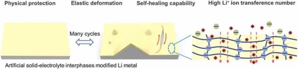 廣西大學(xué)蒲雄Nano Energy：自修復(fù)單離子導(dǎo)電人工SEI穩(wěn)定鋰金屬負(fù)極