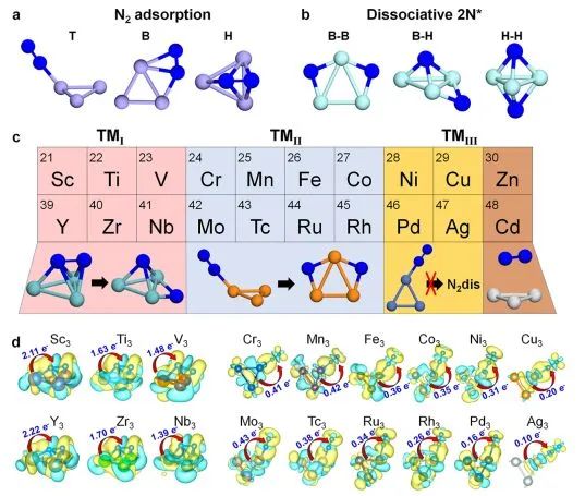 駱智訓(xùn)ACS Catalysis：利用理論計算系統(tǒng)研究三原子金屬簇對N2的吸附和解離行為