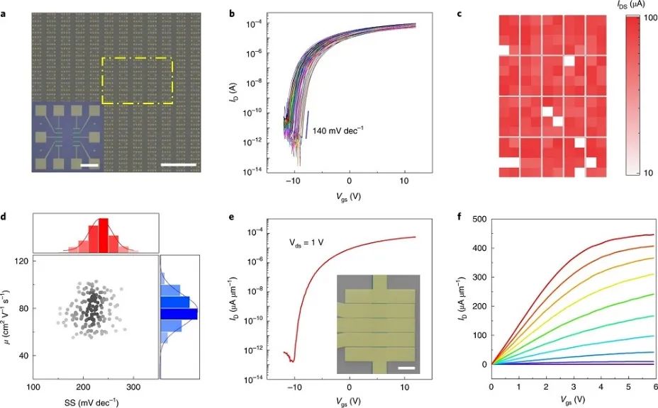 一周連發(fā)兩篇Nature Nanotechnology！這個(gè)團(tuán)隊(duì)不簡(jiǎn)單！