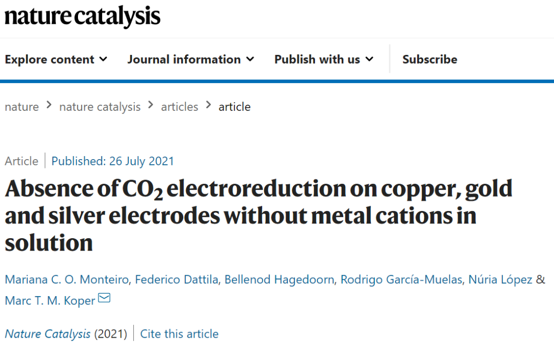 Nat. Catal.：溶液中不含金屬陽(yáng)離子的Cu、Au和Ag電極上無(wú)CO2電還原