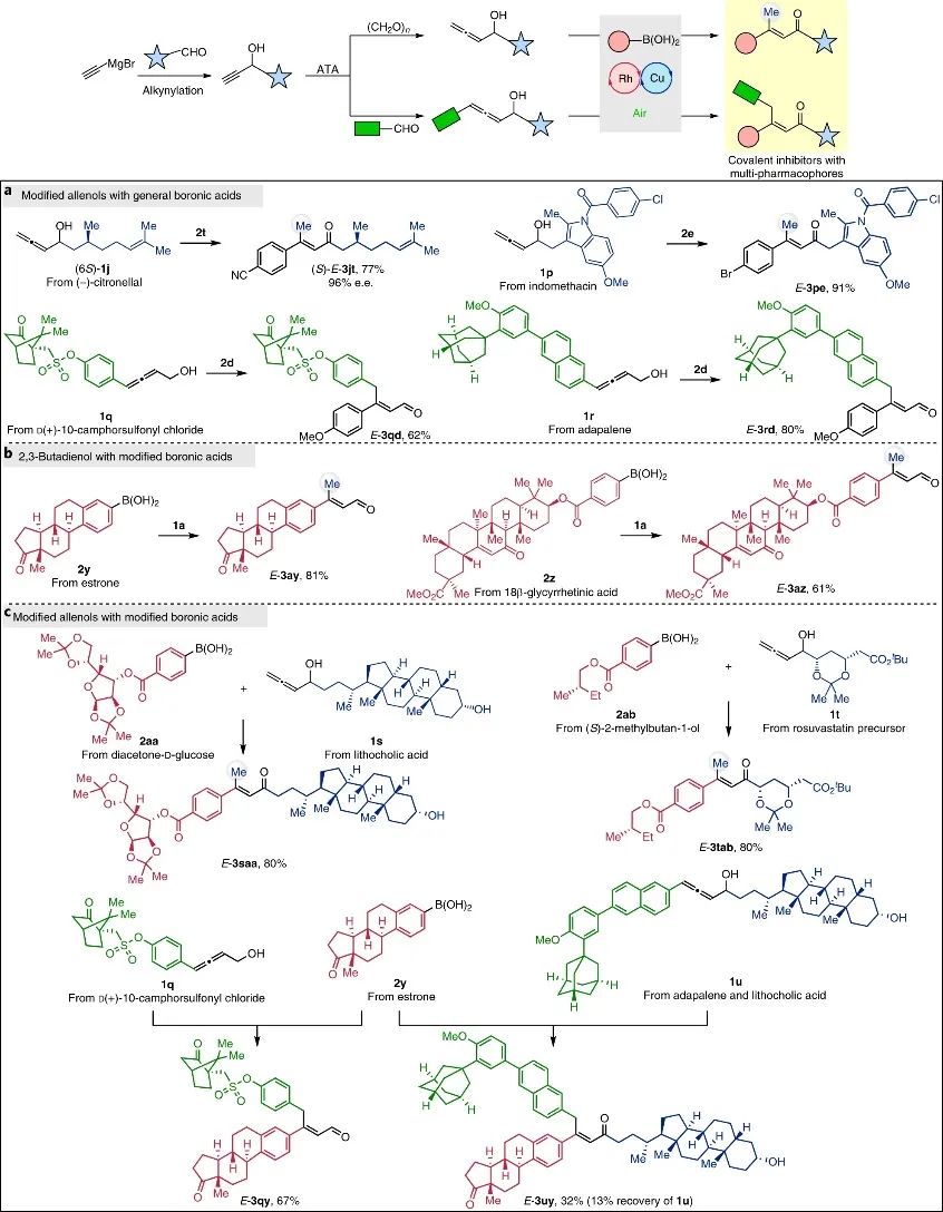 上海有機(jī)所&復(fù)旦Nature Catalysis：E-型烯醛/烯酮合成新策略！