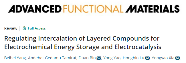 夏永姚/陸洪彬/賓端AFM：用于電化學(xué)儲能和電催化的層狀化合物的插層調(diào)控