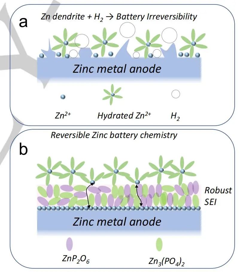 Angew.：高性能水系鋅金屬電池的固體電解質(zhì)界面化學(xué)