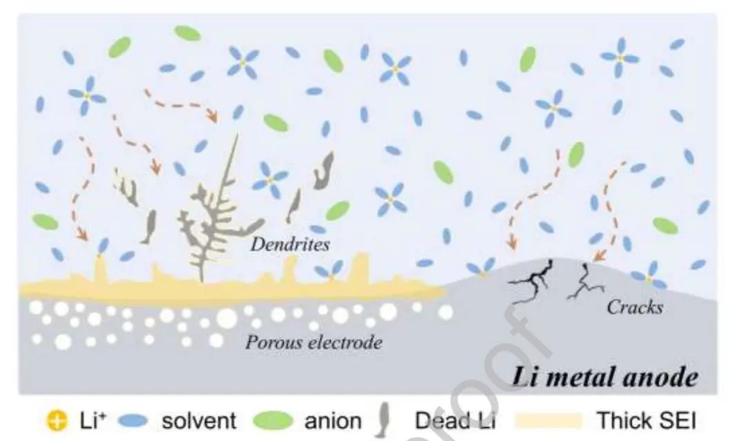 ?中南吳飛翔團(tuán)隊(duì)EnSM：揭示系列低濃度電解質(zhì)對鋰金屬負(fù)極的影響及相關(guān)機(jī)制