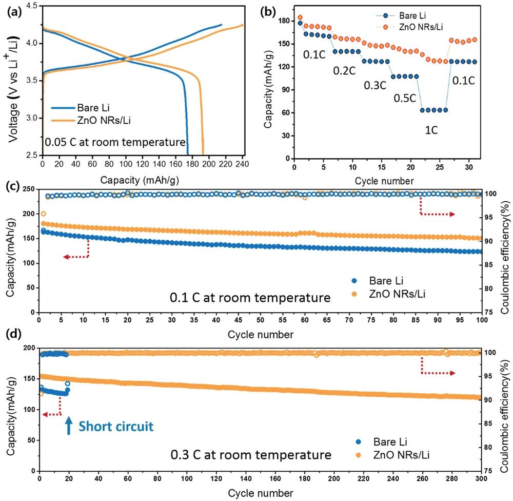 電池頂刊集錦：EES、EER、AEM、EEM、ACS Nano、Small等最新成果