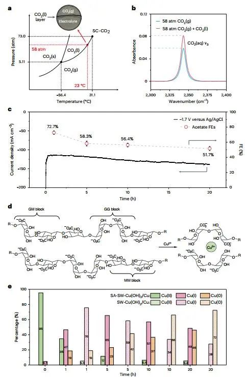 戴宏杰院士，最新Nature Catalysis！