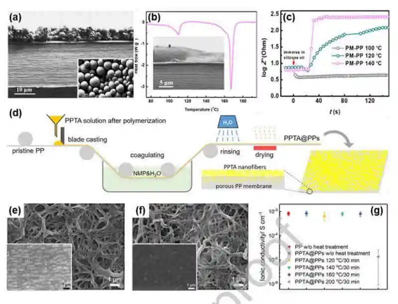 電池頂刊集錦：AFM、AM、ACS Energy Lett.、EnSM、Nano Lett.、Nano Energy等