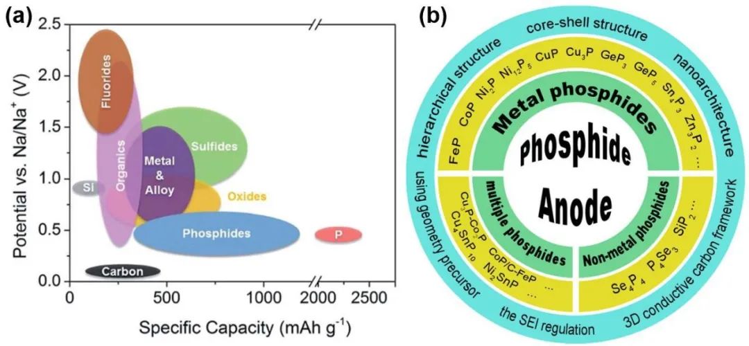 浙工大陶新永/劉鐵峰Nano Energy：提高鈉離子電池磷化物負(fù)極性能的策略