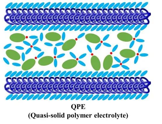 南開陳軍院士最新Angew: 多光譜表征揭示準(zhǔn)固態(tài)聚合物電解質(zhì)離子導(dǎo)電機理