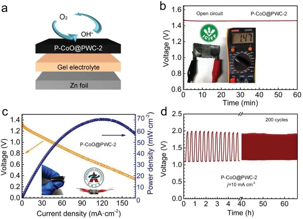 電池頂刊集錦：EES、AEM、AFM、Adv. Sci.、EnSM、Small等最新成果