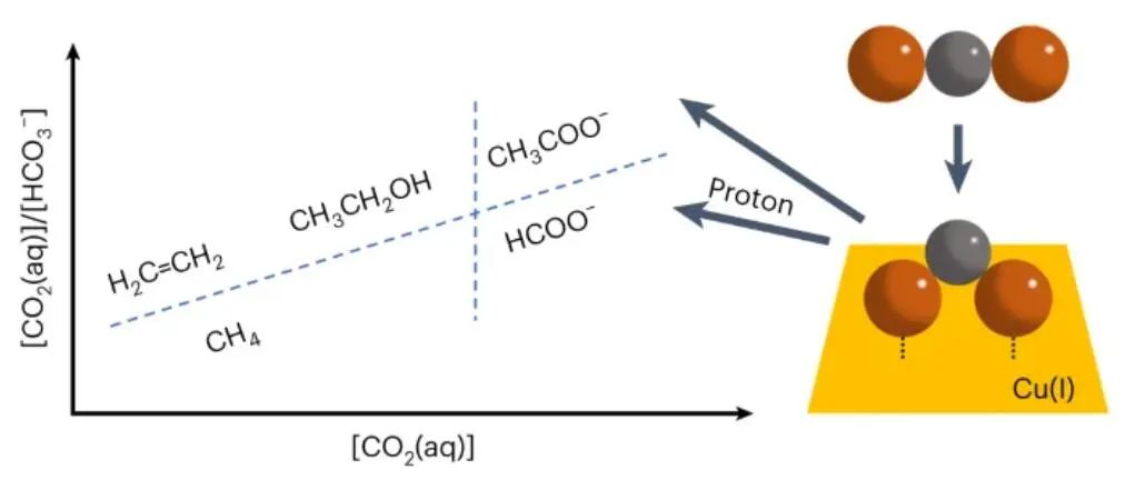 戴宏杰院士，最新Nature Catalysis！