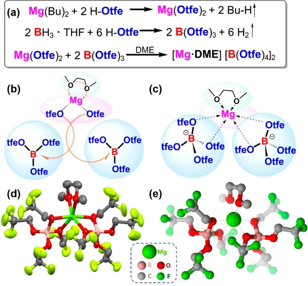 上交努麗燕娜ACS Energy Lett.：一種用于鎂電池的新型Mg[B(Otfe)4]2鎂鹽