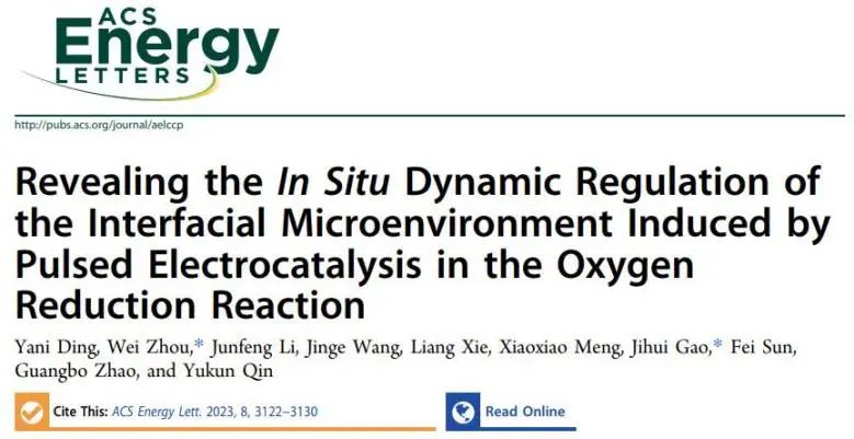 催化頂刊集錦：Nature子刊、JACS、ACS Nano、ACS Energy Lett.、AFM、NML等成果