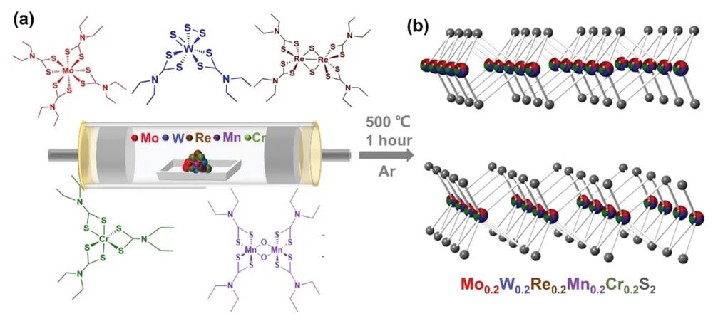 Adv. Sci.：用于析氫反應(yīng)的高熵二維過渡金屬二硫化物催化劑的低溫合成路線