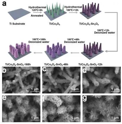 催化頂刊集錦：EES、ACS Catalysis、AEM、AFM、ACS Nano、Small、Nano Lett.等