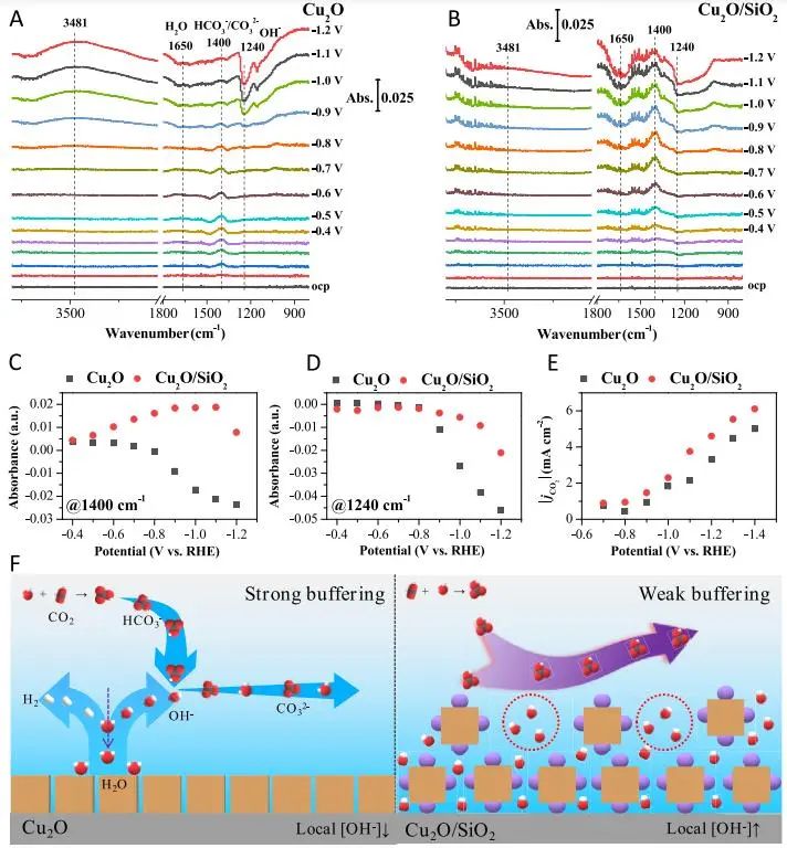 催化頂刊集錦：JACS、AEM、AFM、Adv. Sci.、ACS Catal.、ACS Nano、Small等成果