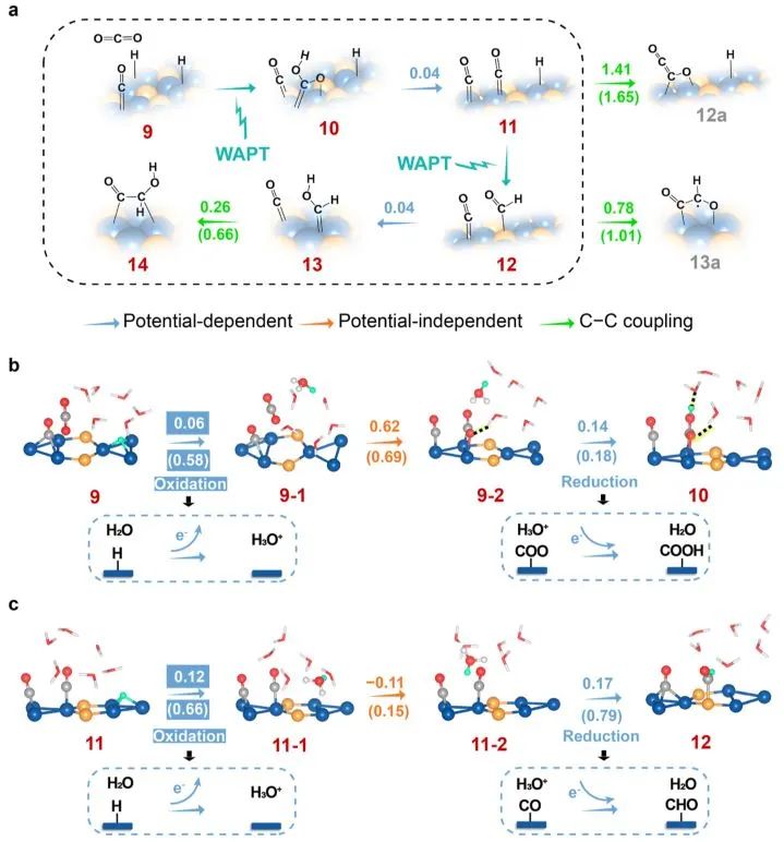 計算+實驗頂刊集錦：Nature子刊、Angew.、AEM、AFM、ACS Catal.、Small等成果精選！