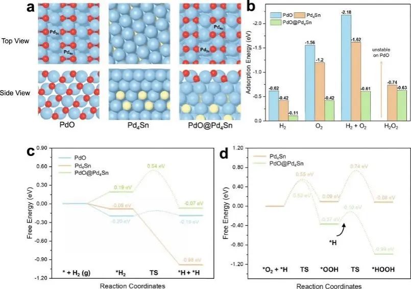 6篇Nature/Science子刊、4篇AM、3篇EES、3篇AFM等，黃小青團(tuán)隊(duì)2022年成果精選！