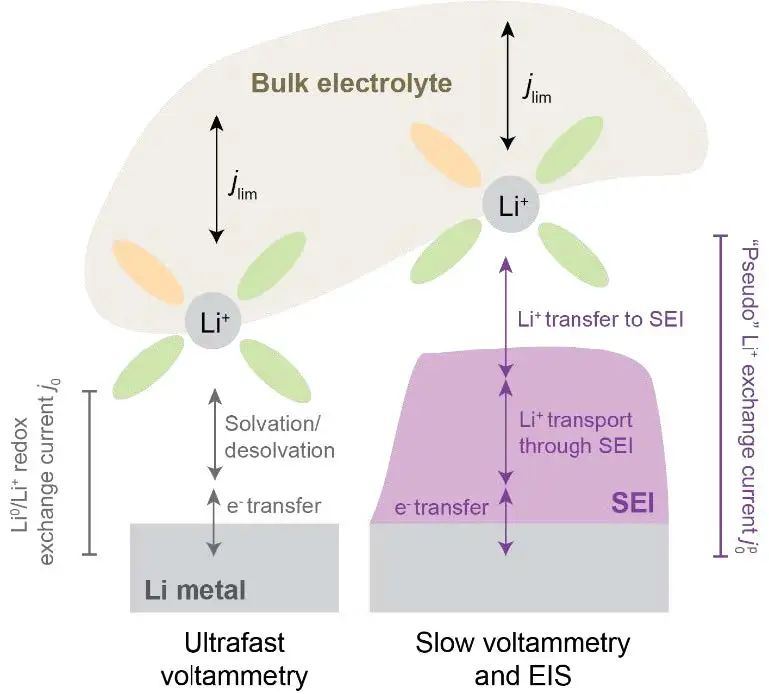 EES：通過電化學Li+交換揭示原生SEI的有益與抑制鈍化作用